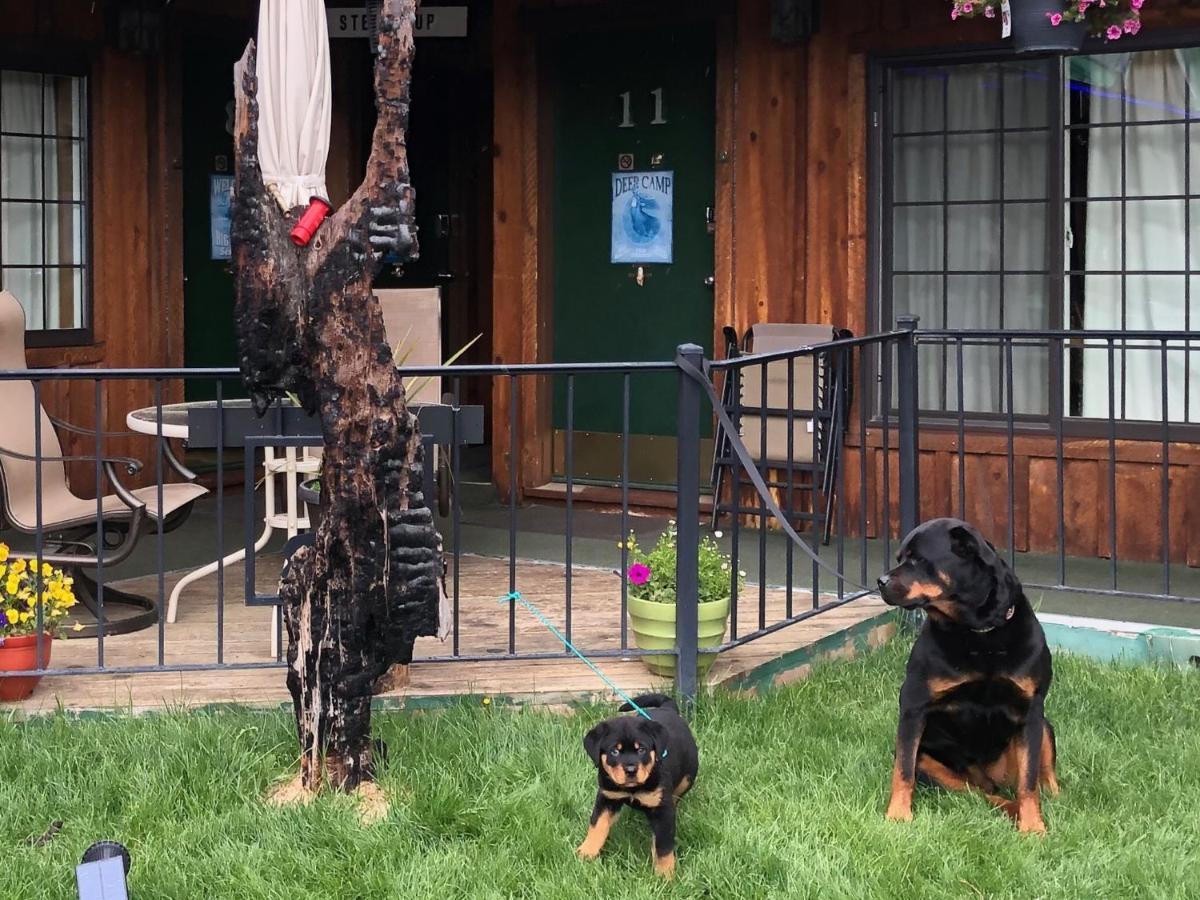 The Woodsman Country Motel 4*